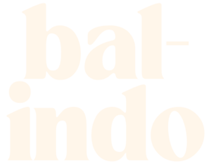 Bal-Indo - investment support